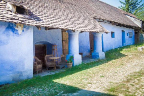 Experience Transylvania Viscri 63A